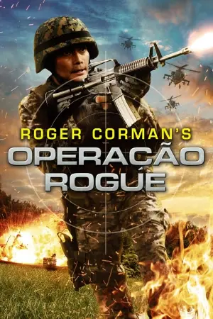 Operação Rogue