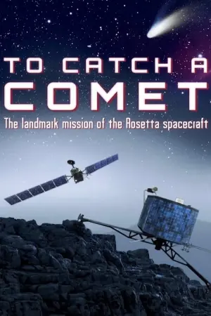 To Catch a Comet