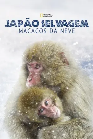 Japão Selvagem: Macacos da Neve