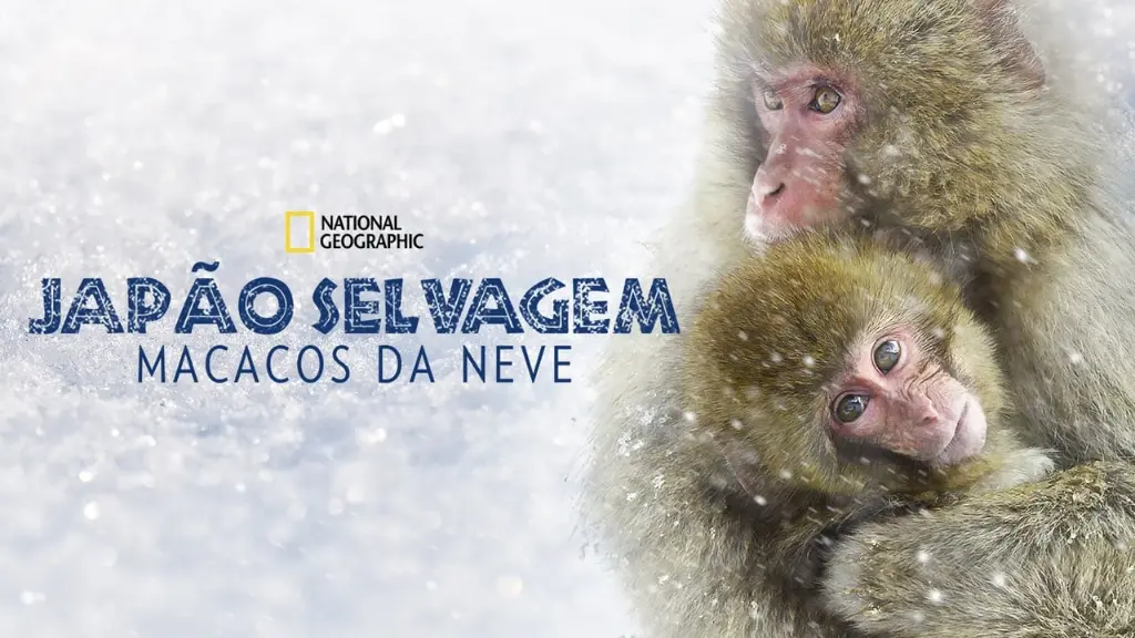 Japão Selvagem: Macacos da Neve