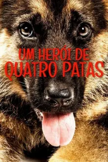 Um Herói de Quatro Patas