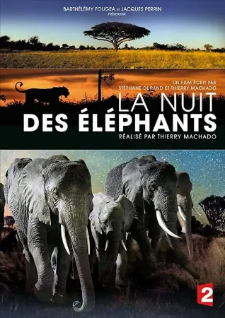 La Nuit des éléphants