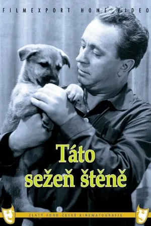 Táto sežeň štěně