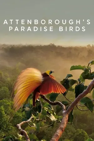 Attenborough's Paradise Birds