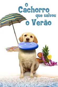 O Cachorro que Salvou o Verão