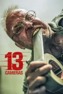 13 Câmeras