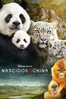 Nascidos na China