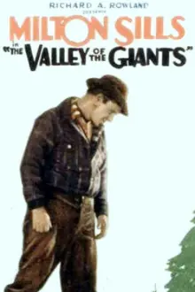 The Valley of the Giants