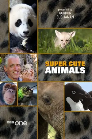 BBC - Animais Super Fofos