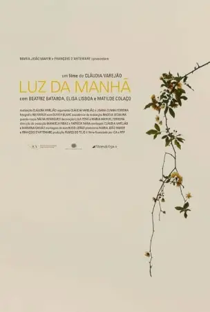 Luz da Manhã