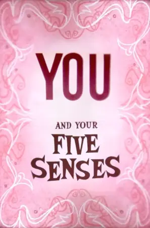 You and Your Five Senses