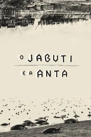 O Jabuti e a Anta