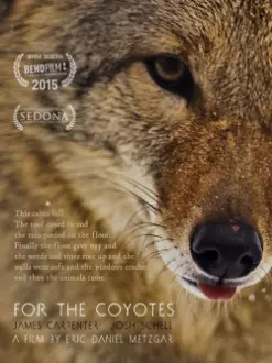 For the Coyotes