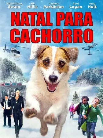 Natal Para Cachorro