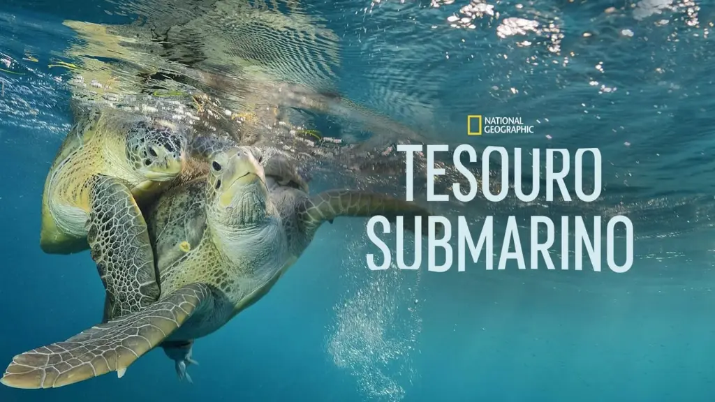 Tesouro Submarino