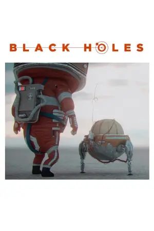 Black Holes