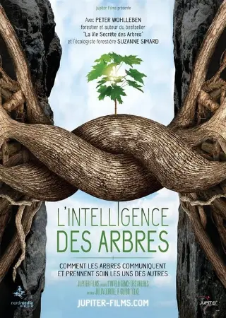 Intelligent Trees