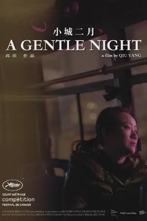 A Gentle Night