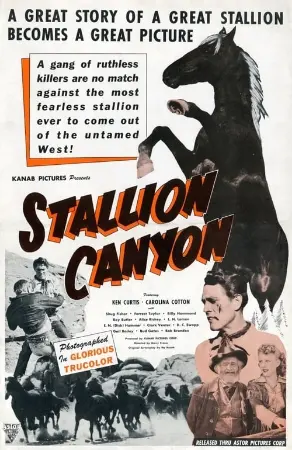 Stallion Canyon