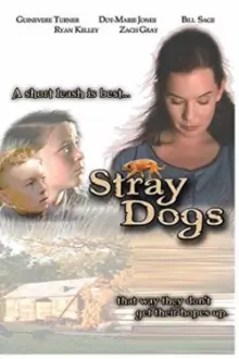 Stray Dogs