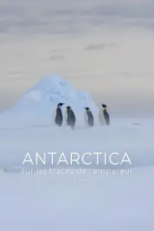 Antarctica, in the footsteps of the Emperor