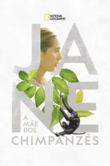 Jane: A Mãe dos Chimpanzés