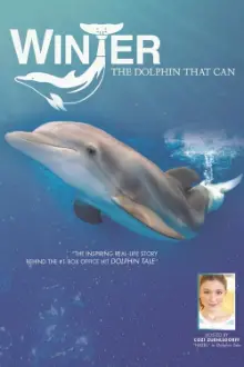 Winter, the Dolphin that Can