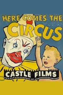 Here Comes the Circus