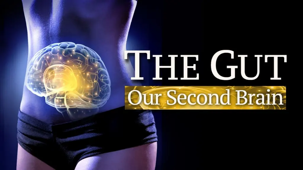 O Intestino: O Nosso Segundo Cérebro