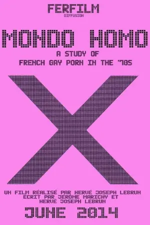 Mondo Homo: A Study of French Gay Porn in the '70s