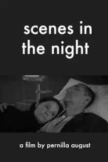 Scenes in the Night