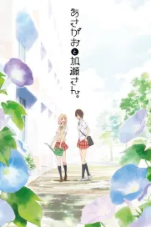 Kimi no Hikari: Asagao to Kase-san.