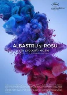 Albastru si rosu, in proportii egale