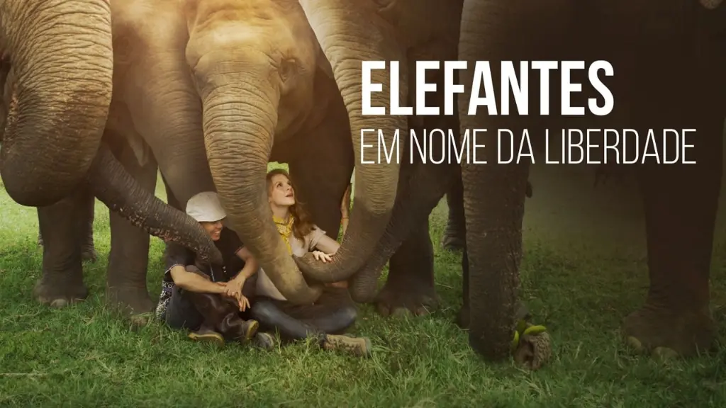 Elefantes: Em Nome da Liberdade