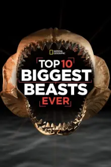 Top 10 Biggest Beasts Ever