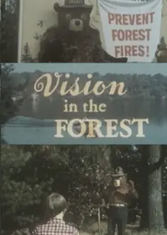 Vision In The Forest