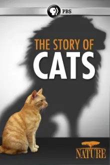 The Story of Cats