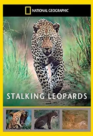 Stalking Leopards