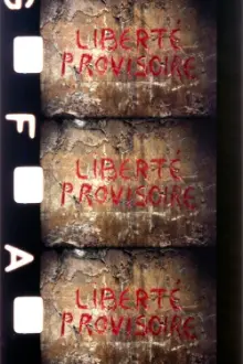 Liberté provisoire