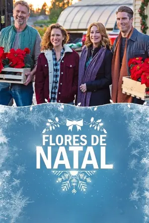 Flores de Natal