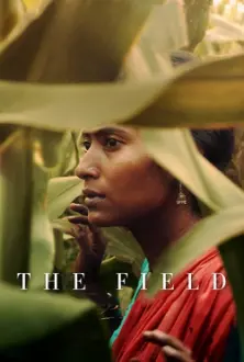 The Field