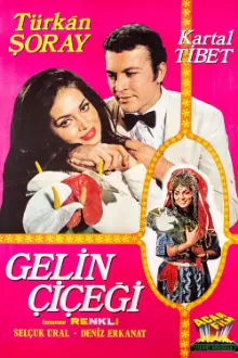 Gelin Çiçeği