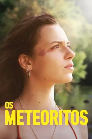 Os Meteoritos