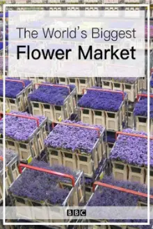 The World's Biggest Flower Market