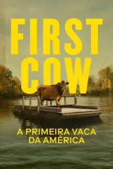 A Primeira Vaca da América