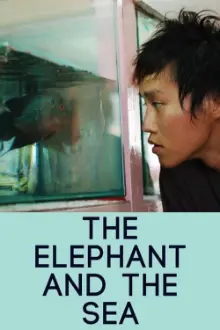 The Elephant and the Sea