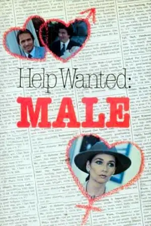 Help Wanted: Male