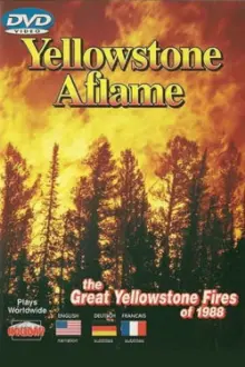 Yellowstone Aflame