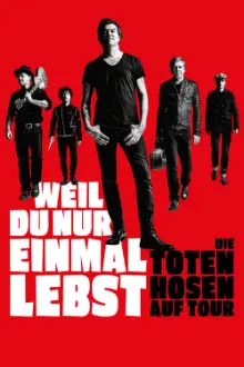 You Only Live Once: Die Toten Hosen on Tour