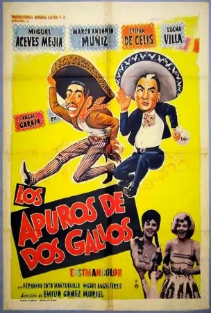 Los apuros de dos gallos